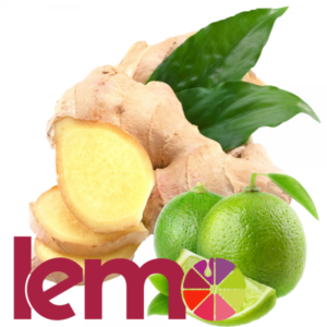 Пюре Лайм-Імбир ТМ Lemo 1кг - Зображення 3