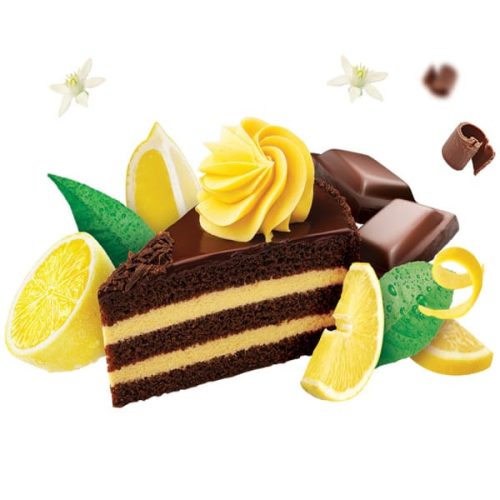 Торт "Шоколадно-лимонний" Бісквітний з кремом заморожений ТМ Рудь 700г