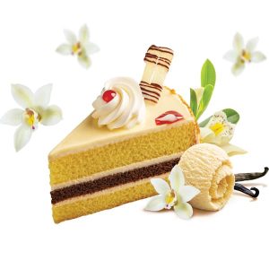 Торт "Пломбирный" Бисквитный с кремом замороженный ТМ Рудь 600г — изображение 2